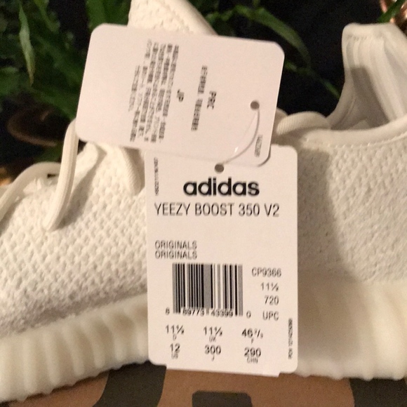 Yeezy Boost 350 White - Picture 4 of 8